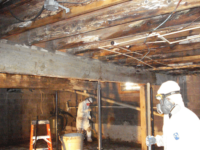 Basement