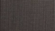 Designer Screen Shades 3