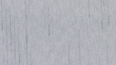 Level 1