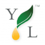 YounglivingCom Logo 1