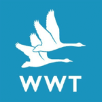 WwtOrgUk Logo