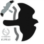 BirdguidesCom Logo