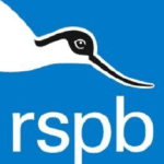 RspbOrgUk Logo
