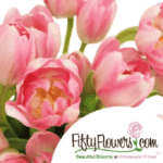 FiftyflowersCom Logo