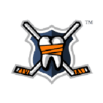 HockeyfightsCom Logo