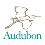 AudubonOrg Logo