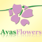 AvasflowersNet Logo