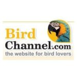 Birdchannel