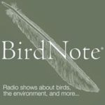 Birdnote.Org