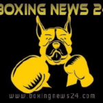 Boxingnews24Com Logo