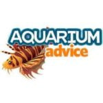 Aquariumadvice
