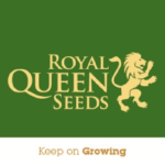 RoyalqueenseedsCom Logo