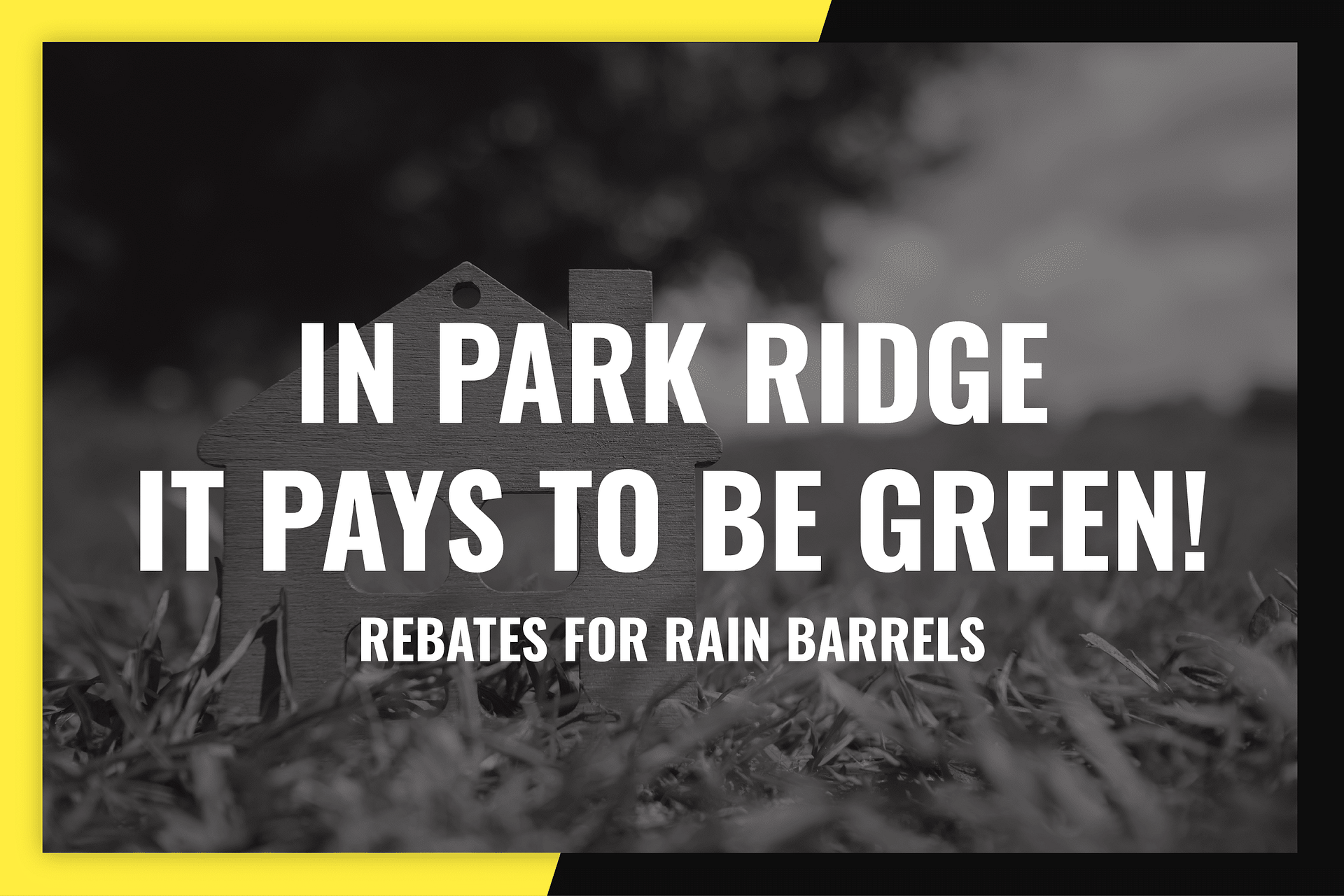 ParkRidgePaysToBeGreen 01