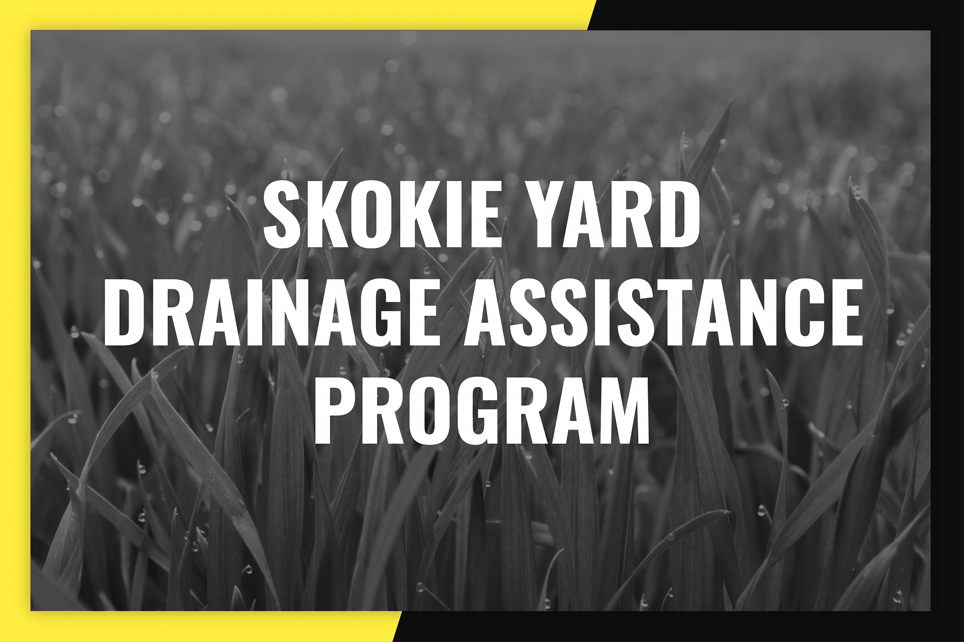 SkokieYardDrainageAssistanceProgram 01