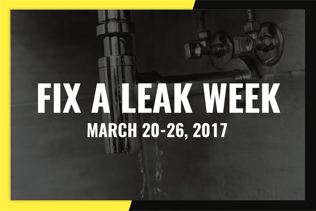 FixALeakWeekLarge
