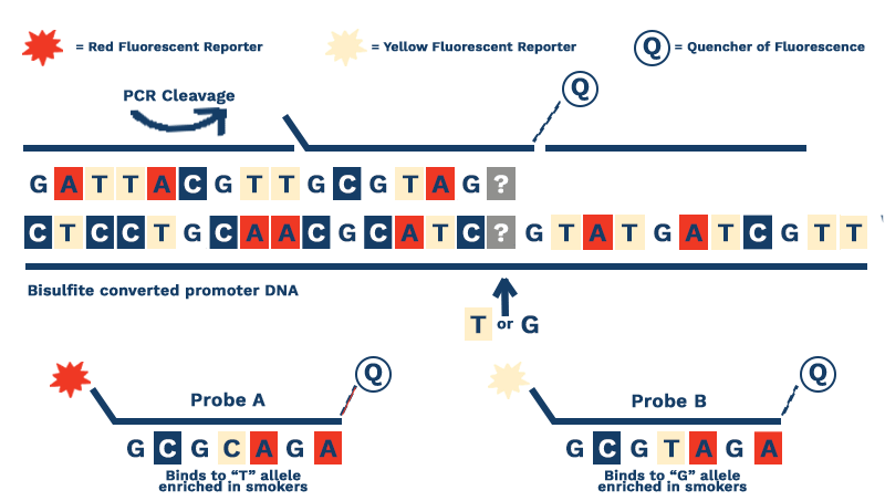 Figure2 Draft3