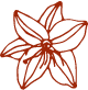Red Flower