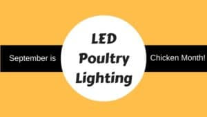 LED poultry lighting