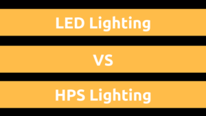 LED Lighting Versus HPS Lighting