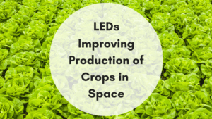LEDs and Crops in Space
