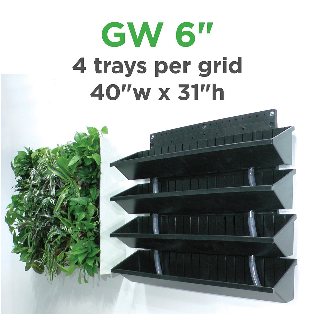 Green-Wall-Vertical-Planter-6-inch-plant-tray