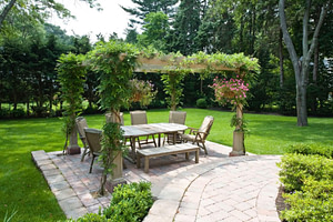 pergola plants (1)