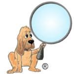 Dogbreedinfo.com