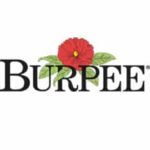 burpee.com 