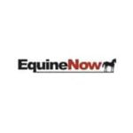 Equinenow.Com 1