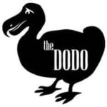 Thedodo