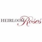 Heirloomroses