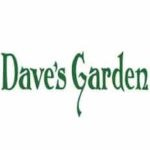 Davesgarden