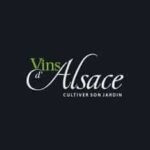 Vinsalsace