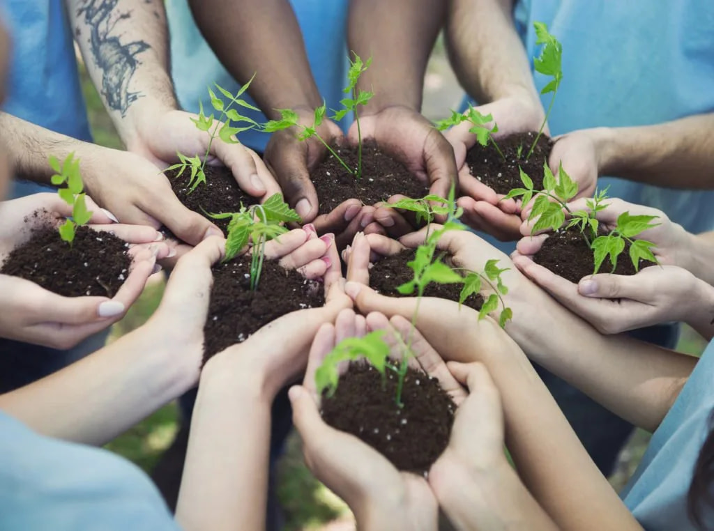 E967cad0 Group Of Volunteer With Sprout For Growing 7qsen2x 1024x762