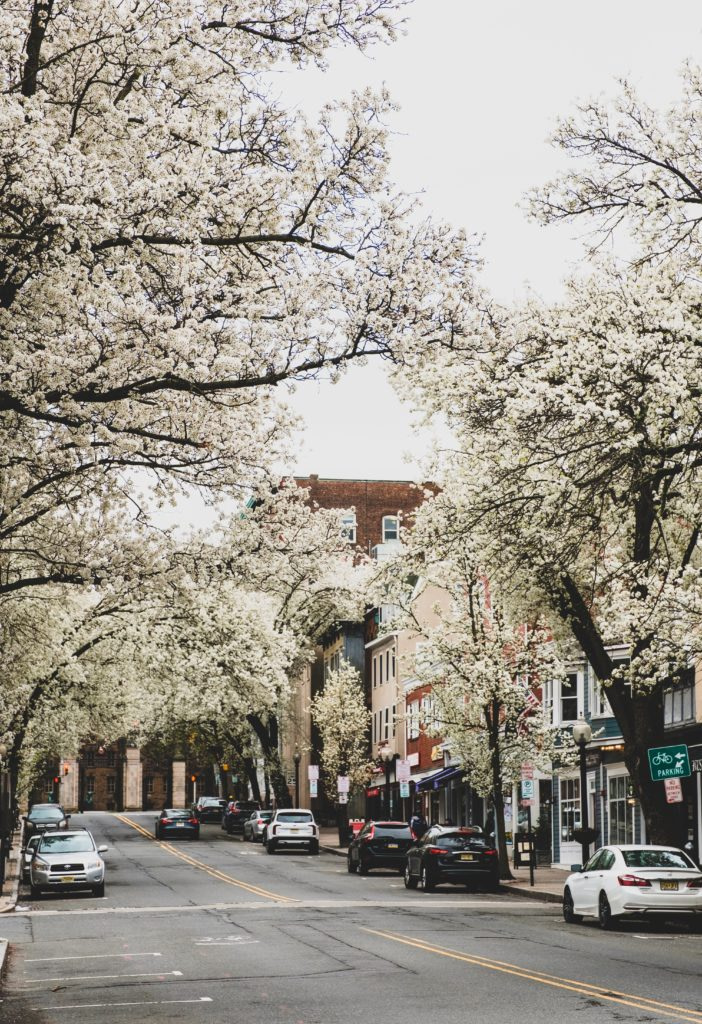 Khurt Williams JF5jWnVf0I8 Unsplash