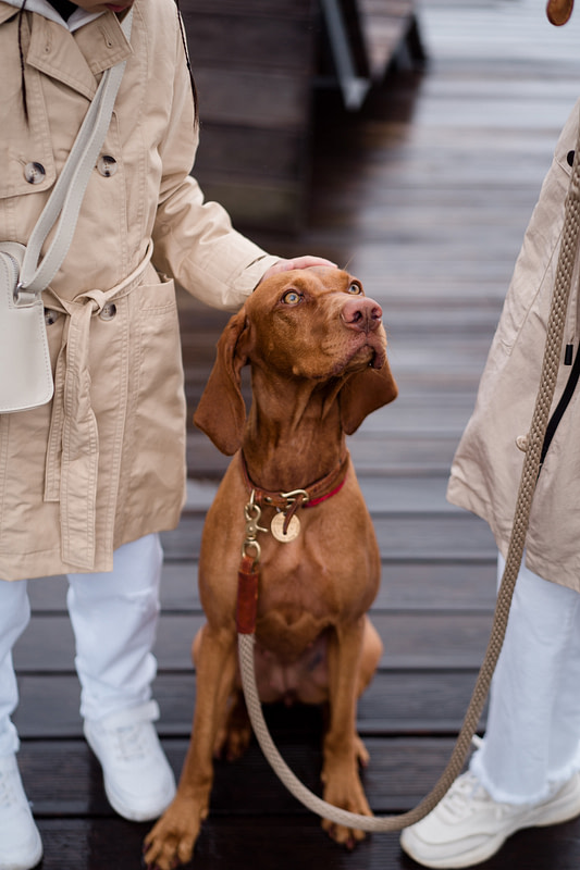 a group of people standing next to a dog