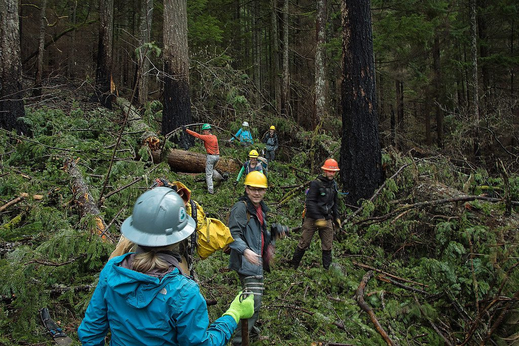 Online Wilderness First Responder Courses Education