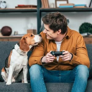 Smiling Young Man With Gamepad Sitting On Sofa And Looking At Do