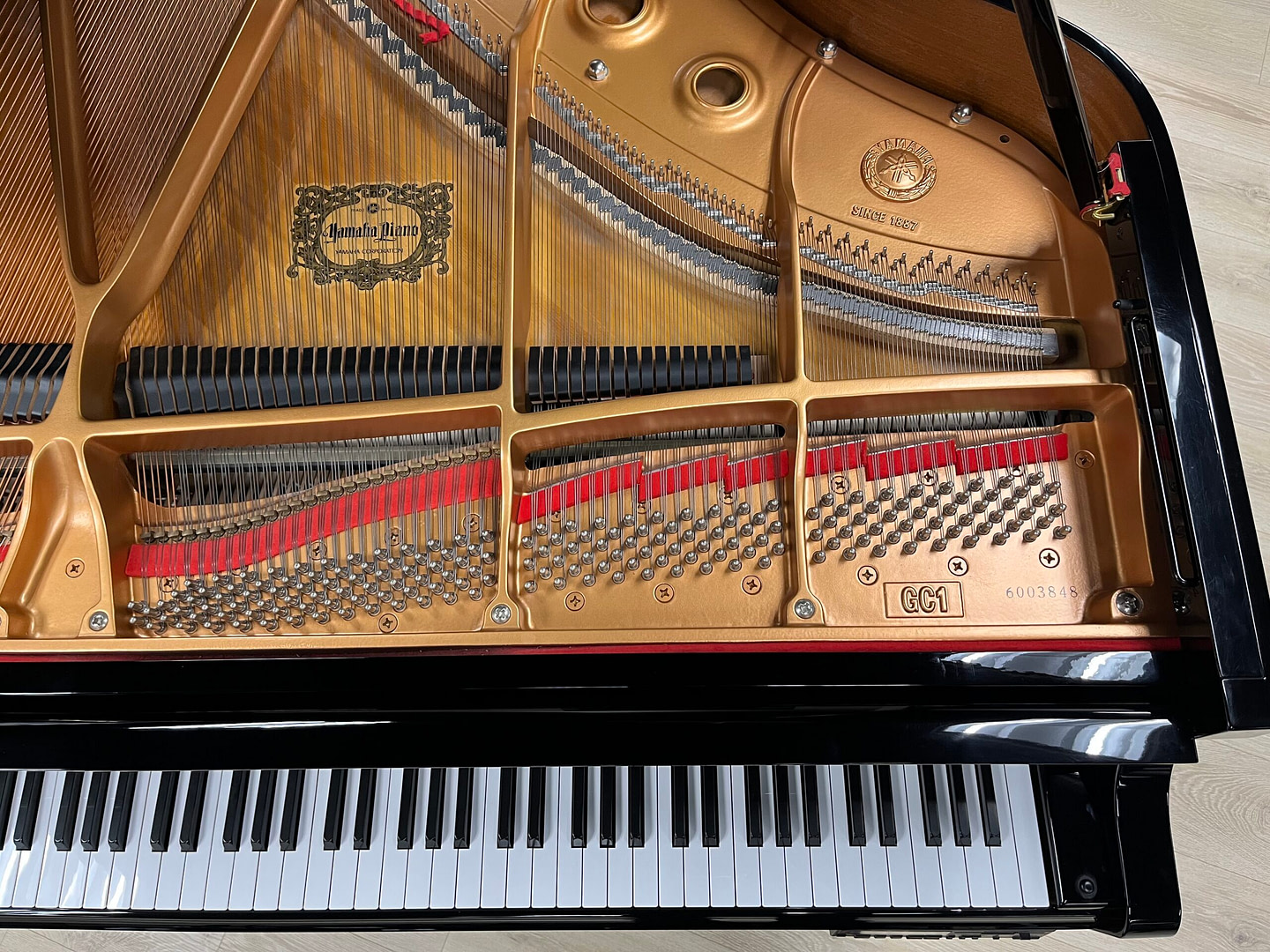 TOP POP‼️ PF70UC FIRSTRELEASES シティーヴューローマ Yamaha GC1 Disklavier Player Piano | Brock Family Music Iowa