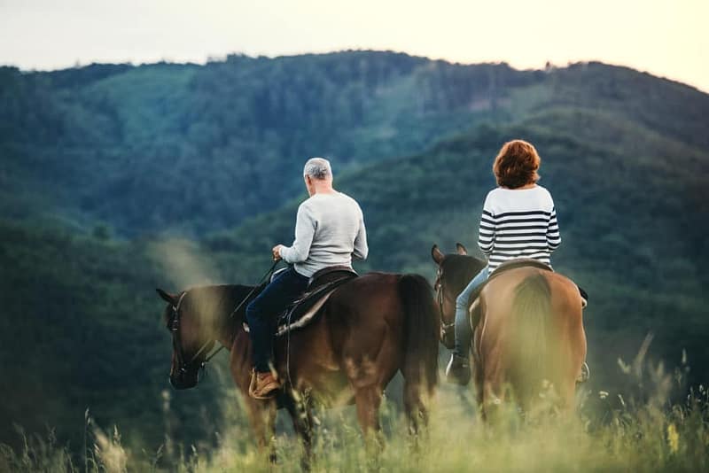A Rear View Of Senior Couple Riding Horses In Nature.
