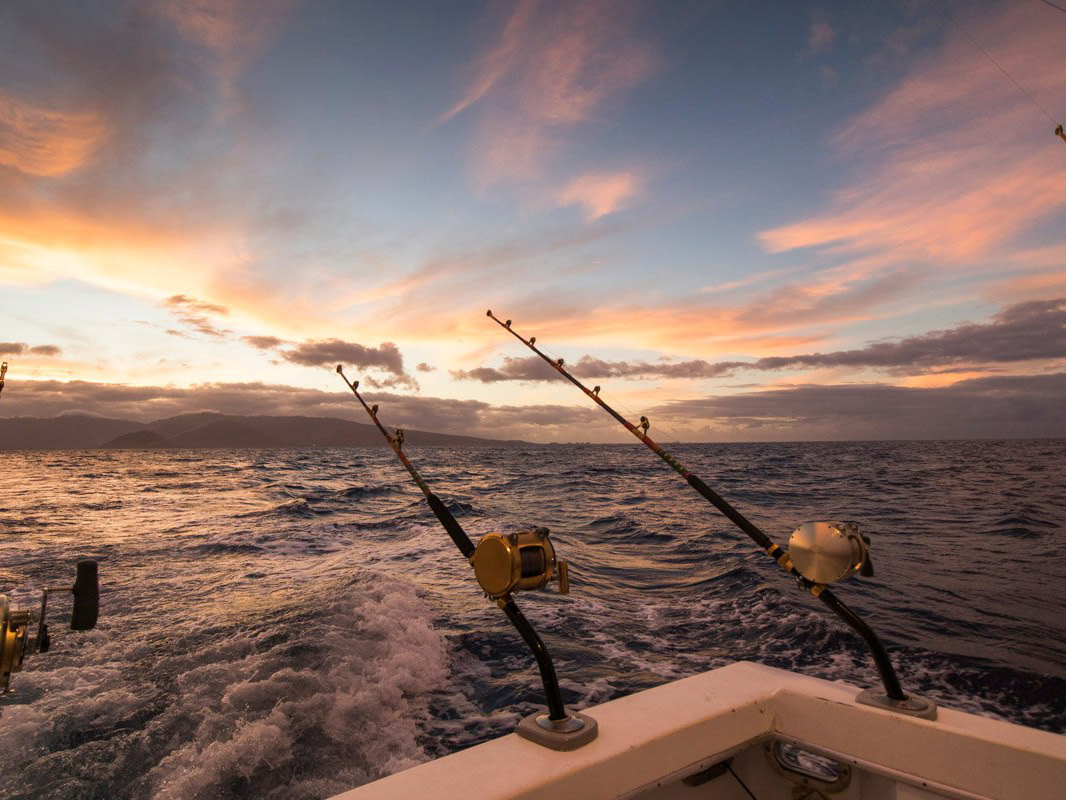 Book Now - Boom Boom Sportfishing Sportfishing Hawaii
