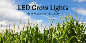 LED grow lights