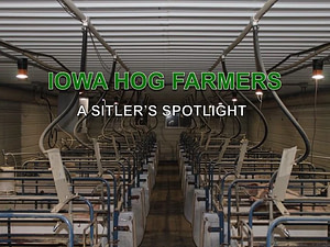 Iowahogfarmers