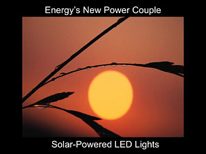 Solar-powered LED lights