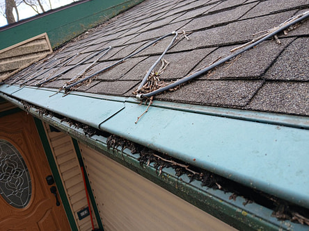 clogged gutters