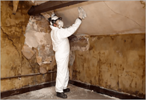 2b7b5c17 staging home uncategorized
