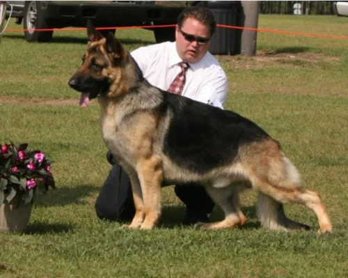 Wanda Linebred