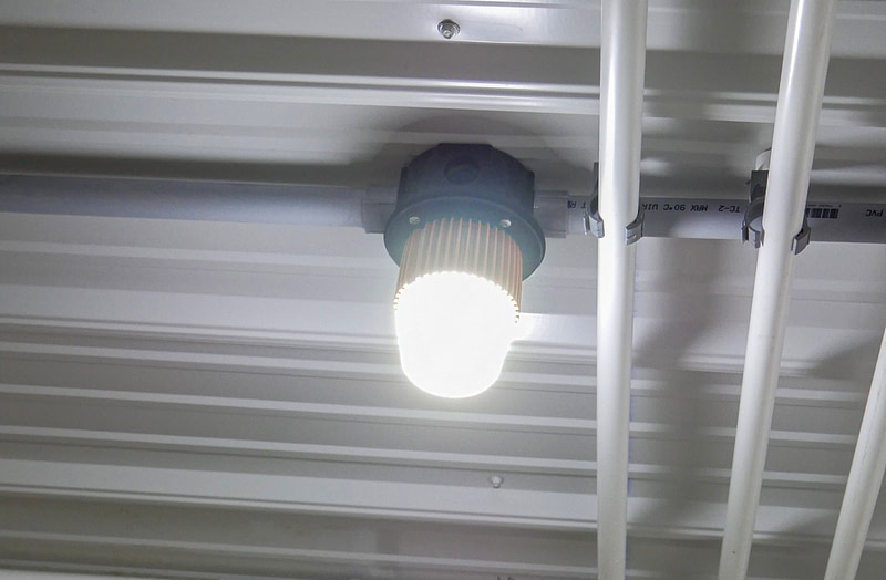 HogLight 5