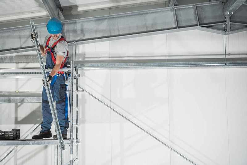 Mold Restoration