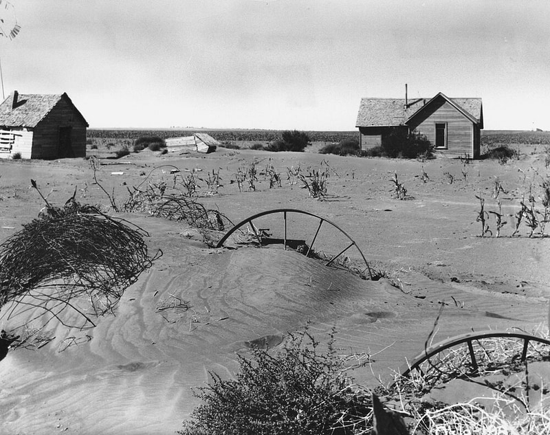 USDA Photo